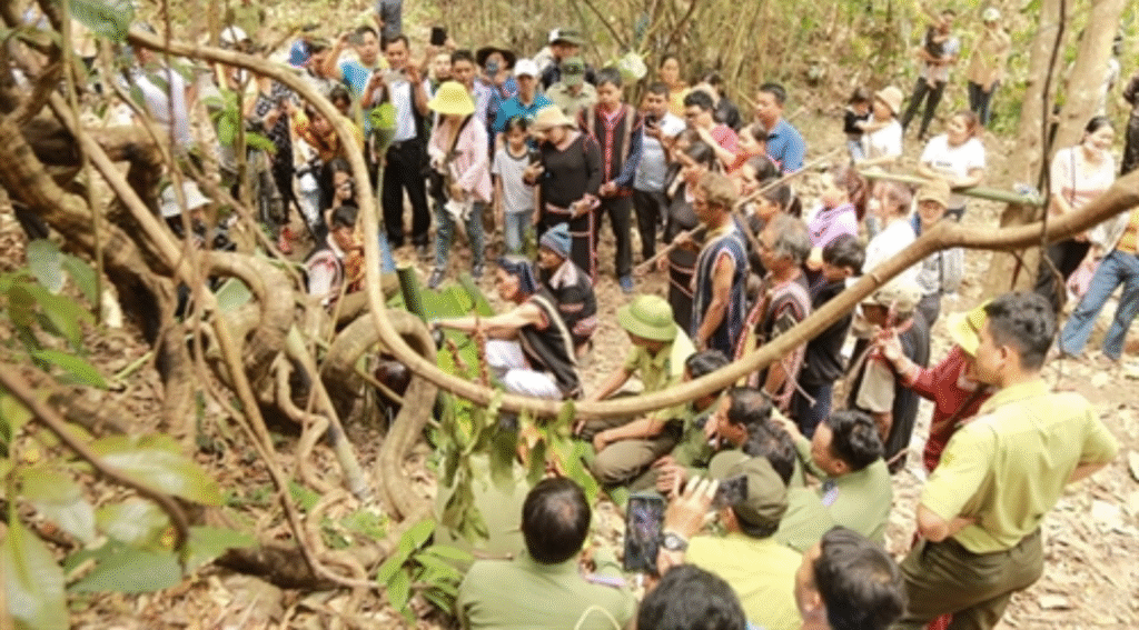 Raute Rothari Feast Nepal