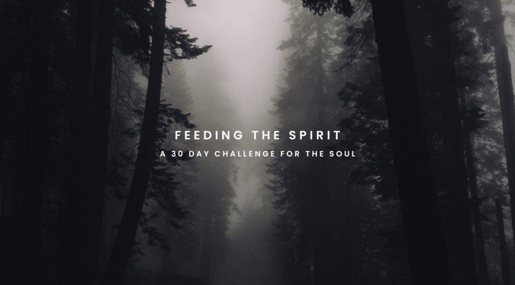 soul nourishment challenge 30 days