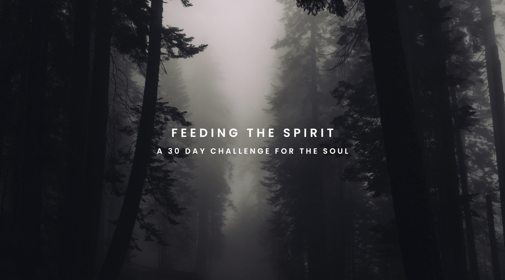soul nourishment challenge 30 days